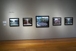 Installation View by Charles G. Mann