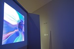 Just Like Glass - Installation View by Elsie Tenpas