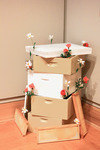 Bee Boxes from Bella's Blooms and Bees by Bella Goland
