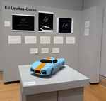 LG Dark Angel - Installation View by Eli A. Levitas-Goren